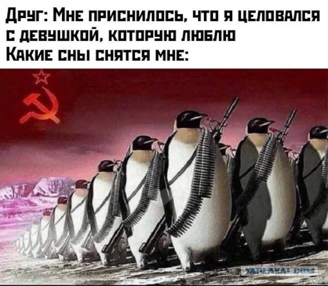 Всякое разное.