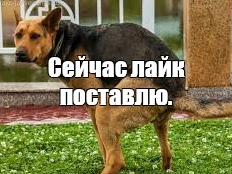 Железа пост  #2