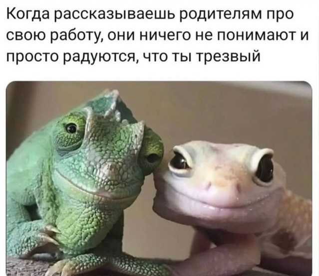 ТРРРидцать тРРРи от 29 августа