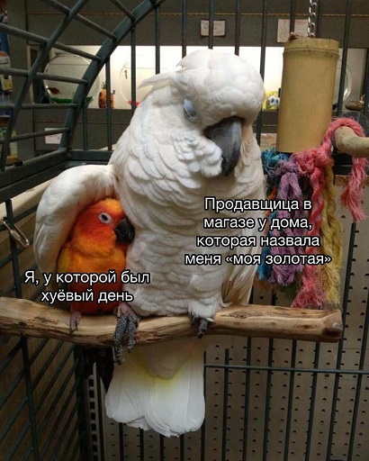 Марина, не нуди