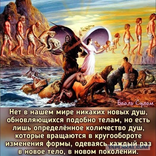 Немного картинкафф