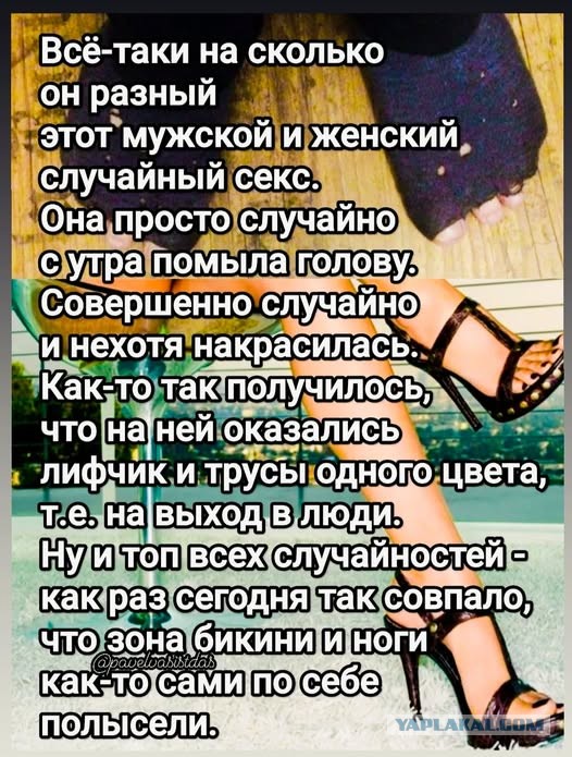 Картиночки, баянчики 08 декабря
