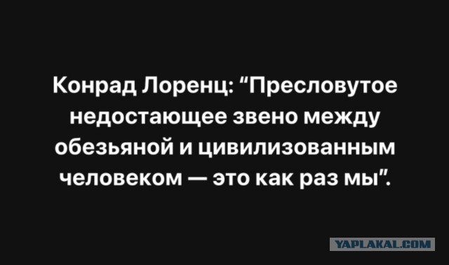 Веселые картинки _)