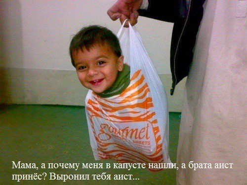 Веселое настроение в картинках 01.02.26