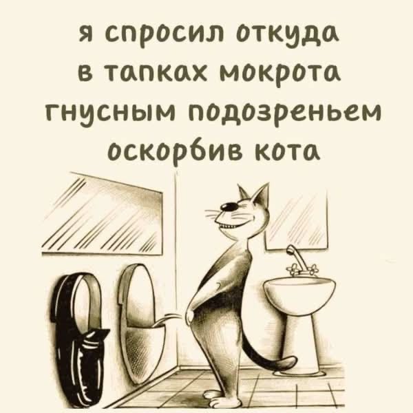 Прикольные и просто красивые картинки 13.03.2026