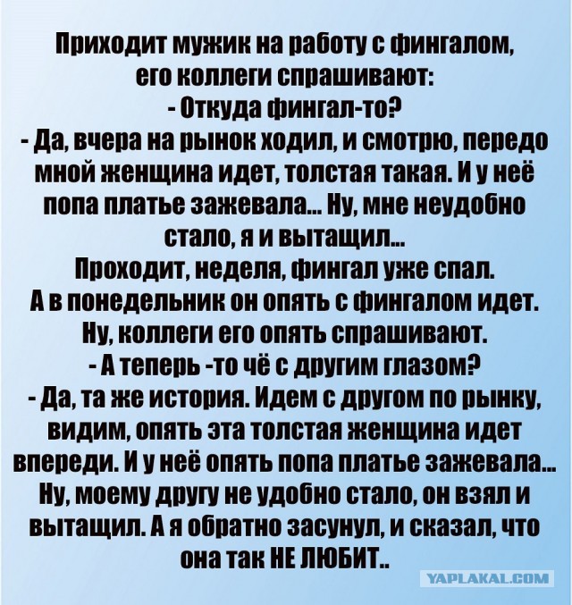 20862531.jpg