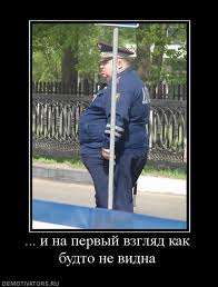 Полиция Торонто. Наши в Канаде.