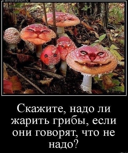 Открыла сезон