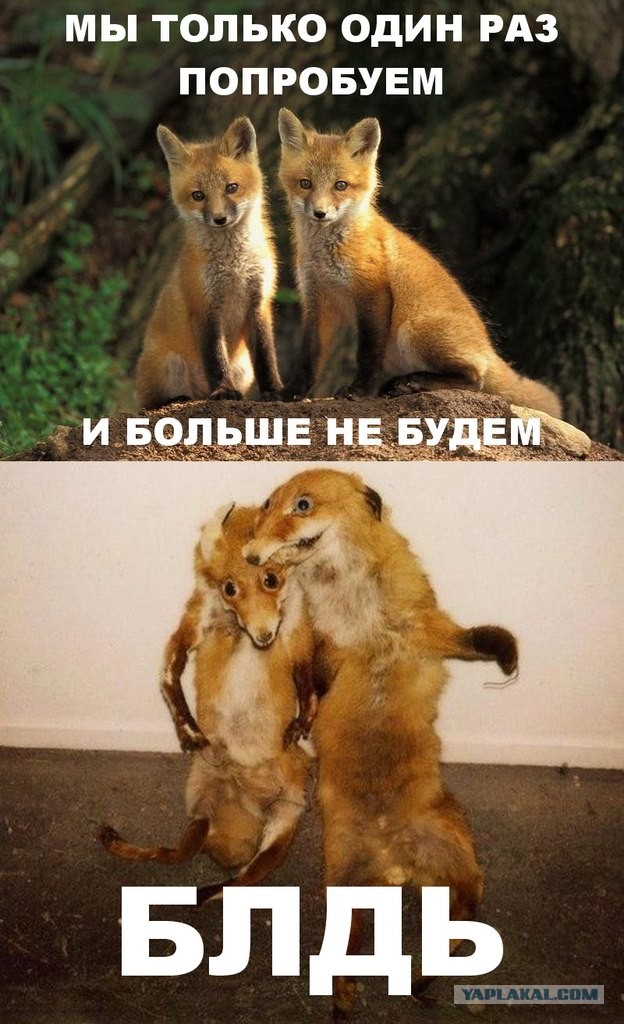 Рэдклифф снова упоролся?
