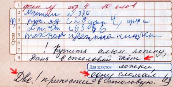 Записи в Дневниках