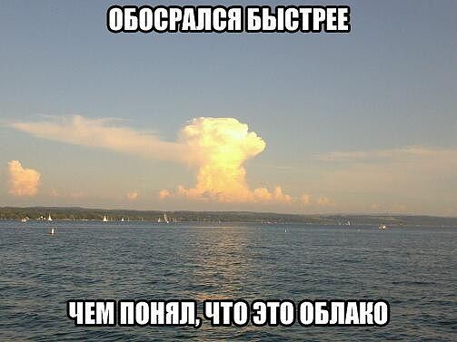 Веселые картинки? а так же комментарии)