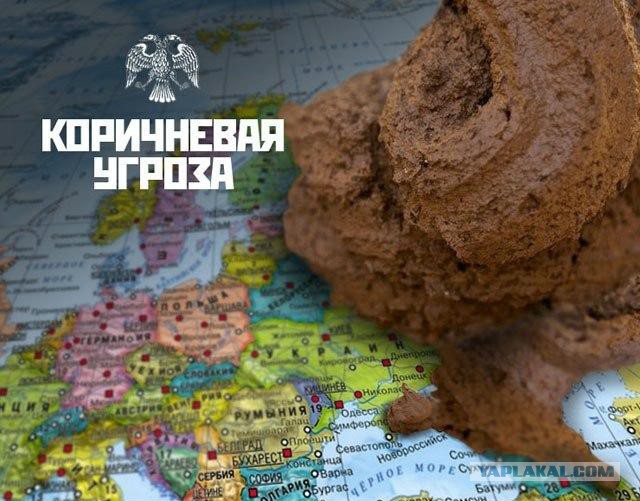 Они не ту-у-пые, они живо-о-о-тные!
