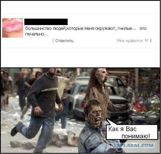 Смешные комментарии из социальных сетей
