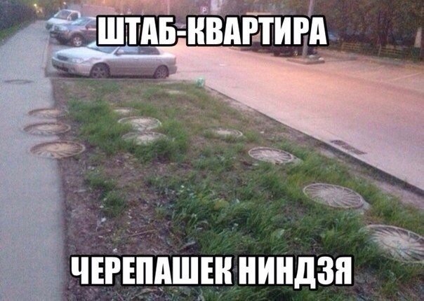 Смешные картинки с подписями 2