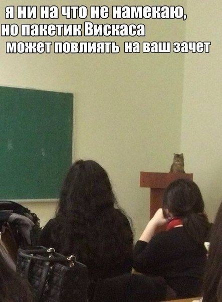 Картинки для настроения