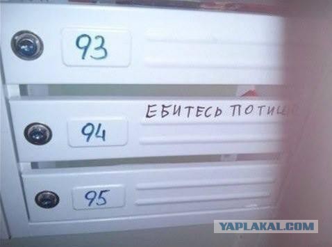 Немного позитива на пятницу