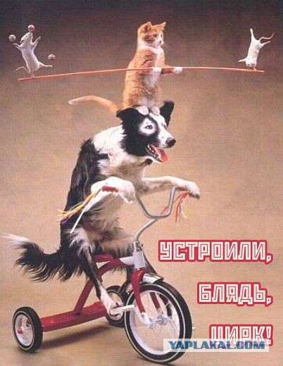 Отношения с ребенком после развода