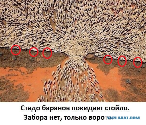 Как выглядит бесполезность