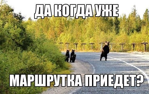 Немного картинок и юмора