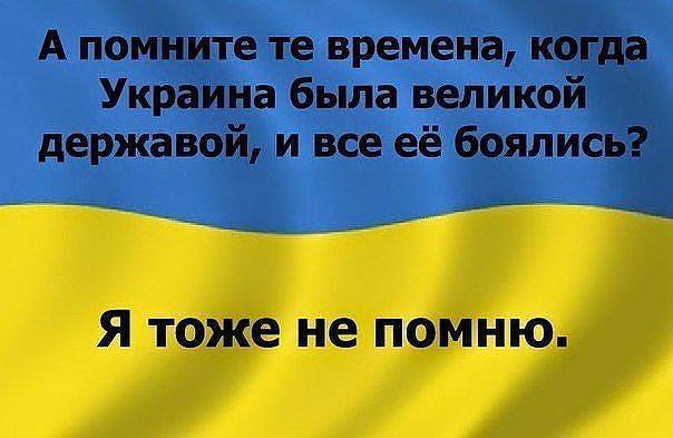 В Киеве проходит выставка «Убей колорада!