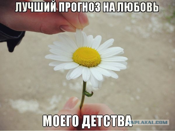 Картинки из сети на среду