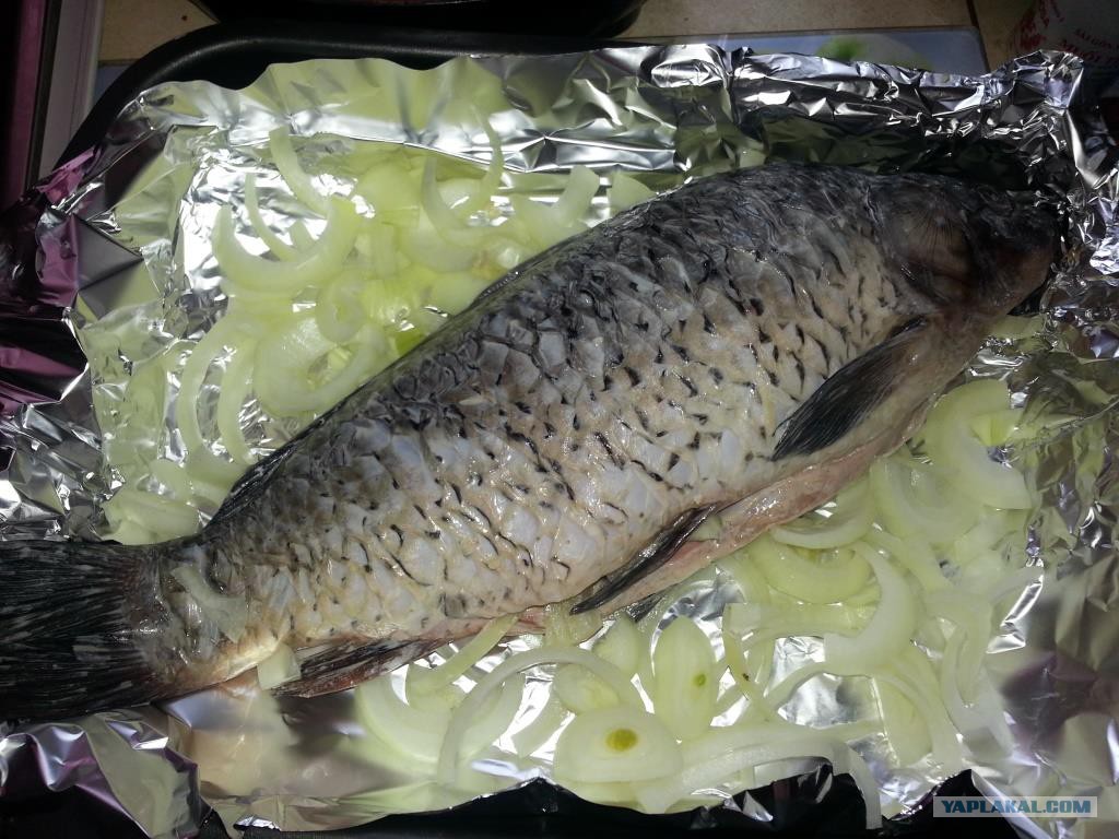 сазан костлявый или нет