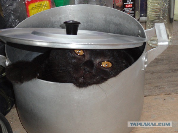 И вот ушли мы утром на работу...