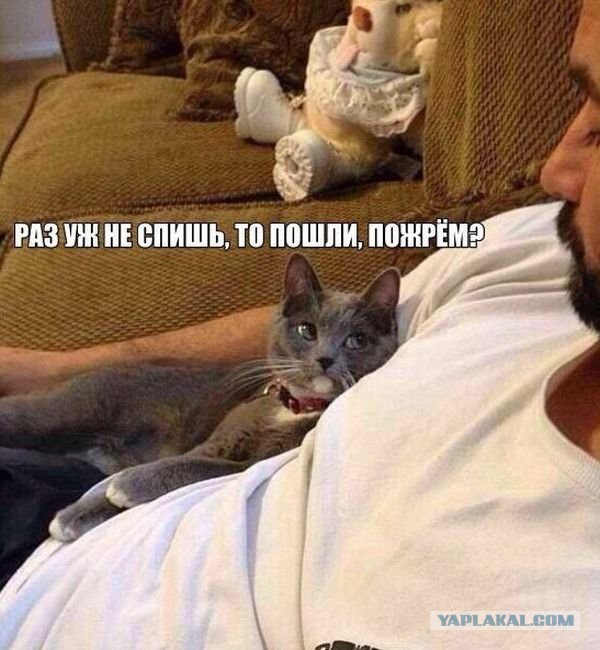 Приколы из сети