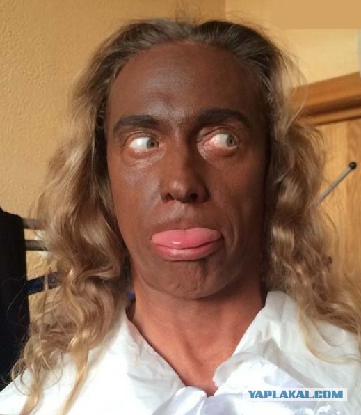 «Если бы не демократия»: моськи и овчарки Кадырова