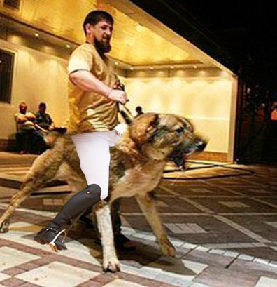 «Если бы не демократия»: моськи и овчарки Кадырова