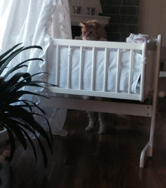 Подборка картинок на среду