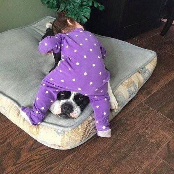 Подборка картинок на среду