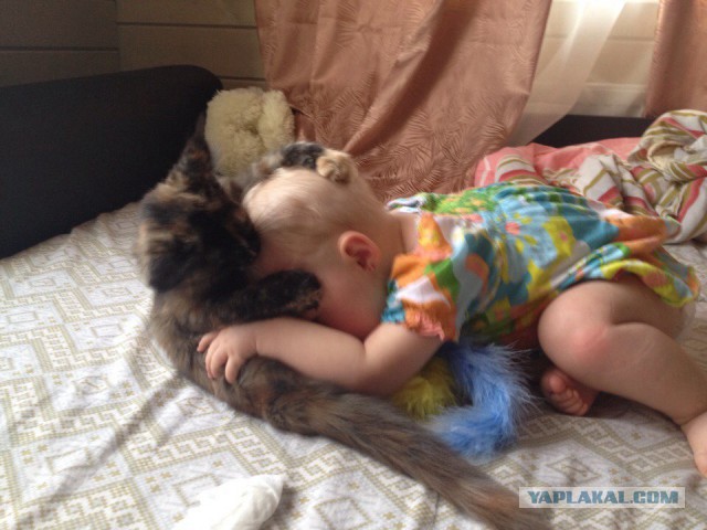 Картинки из этих, ваших...