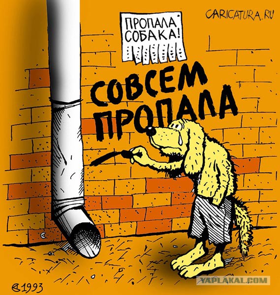 Курорт или жизнь: Турция стремительно теряет иностранных туристов