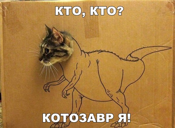 Мохнатые беспредельщики