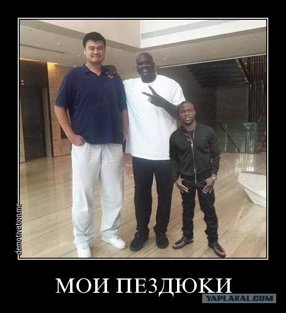 Картинки этих ваших интернетов