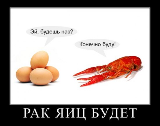 Юмор не для всех