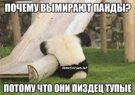 Смешные СМС и комменты