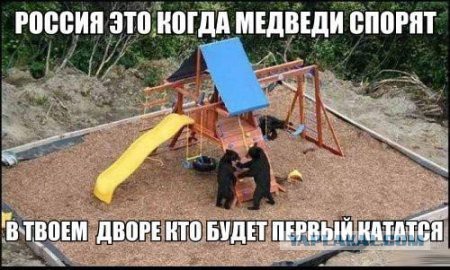 Медведь - свадебный оберег на Руси