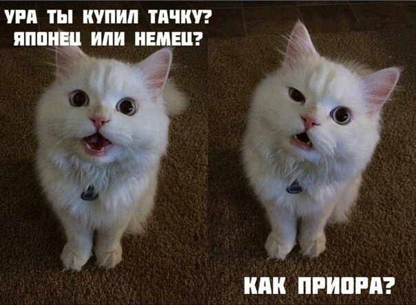 Подборка веселых картинок с тырнета