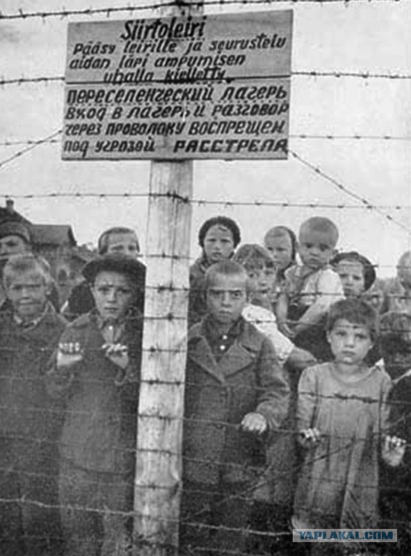 Портрет Сталина в приёмной детского омбудсмена