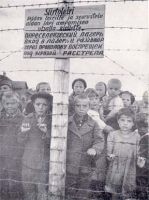 Фотографии к "Нахальному минированию" и "Лехе"-2