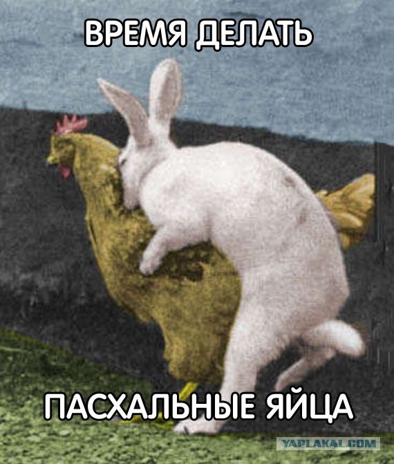 Курятник и кролятник своими руками