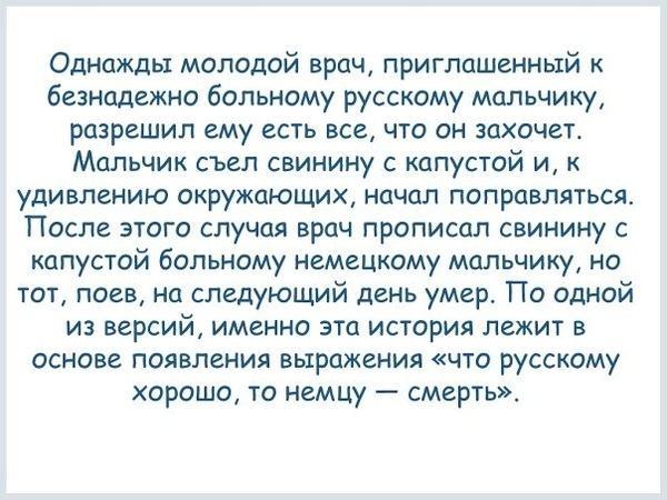 Везу тёщу на дачу. Она спереди, сзади едет сын 10-ти лет...