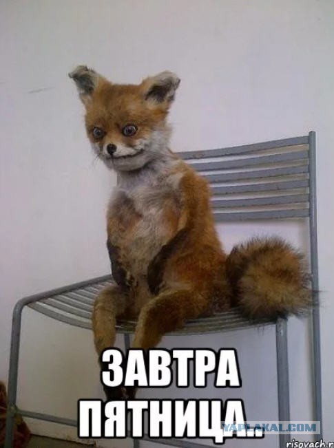 Сними шлюху, говорит...
