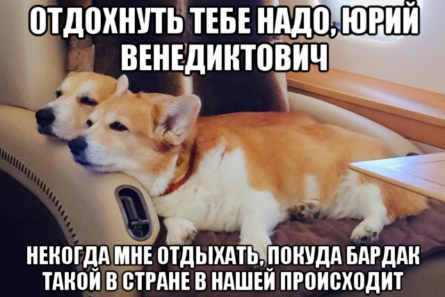 Почему у чиновников такие большие пенсии?