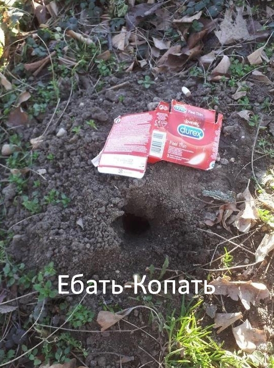Нестандартный юмор