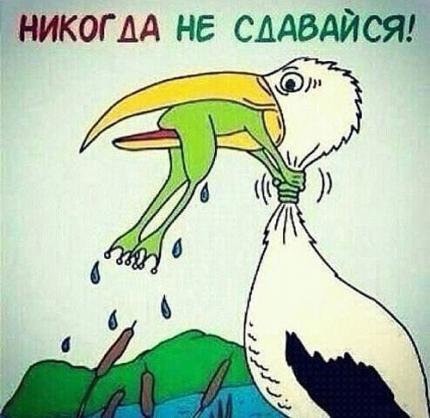 Этот удивительный удивительный мир