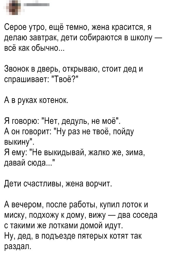 Куда катится жизнь