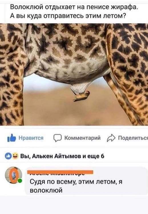 Картинки 02.09.2019